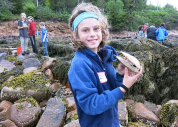 Campamentos de ciencias marinas del Instituto Acadia de Oceanografía