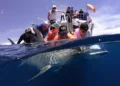 University of Miami Marine Biology Summer Programs