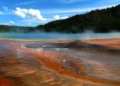 Yellowstone National Park 5-Day Classic Tour