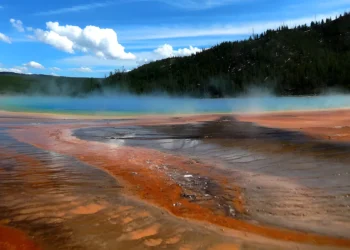 Tur Klasik 5 Hari di Taman Nasional Yellowstone