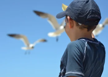 Senderismo por los Adirondacks: explora la naturaleza salvaje, las altas cumbres y los lagos de Nueva York