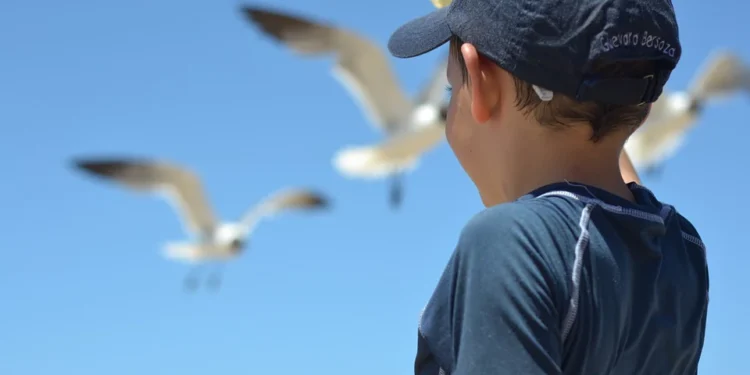 Mendaki Adirondacks, Menjelajahi Alam Liar, Puncak Tinggi & Danau di New York