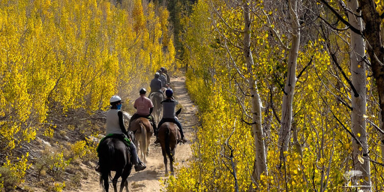 Naiki High Sierra, Epic Horseback Adventures di Padang Belantara Nevada