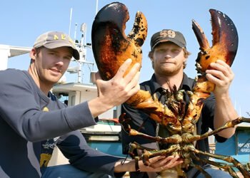 Ruta gastronómica y vinícola por Nueva Inglaterra: Langostas, bodegas y sabores locales