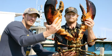 New England Food & Wine Tour: Lobsters, Wineries & Local Flavors