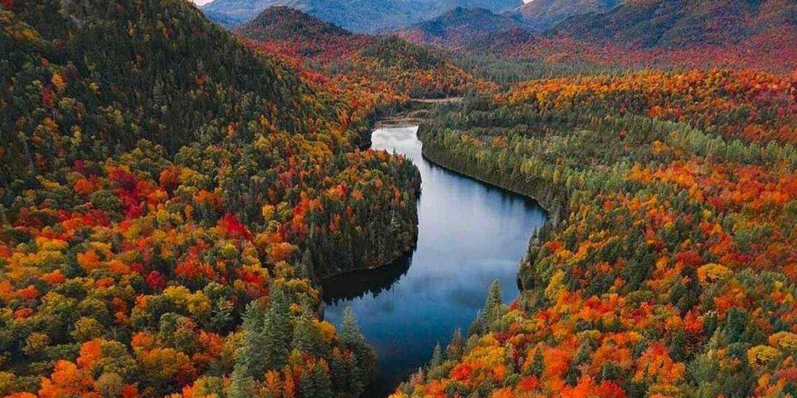 Best US Fall Foliage Tours 2025: Top Routes, Peak Seasons & Must-See Destinations