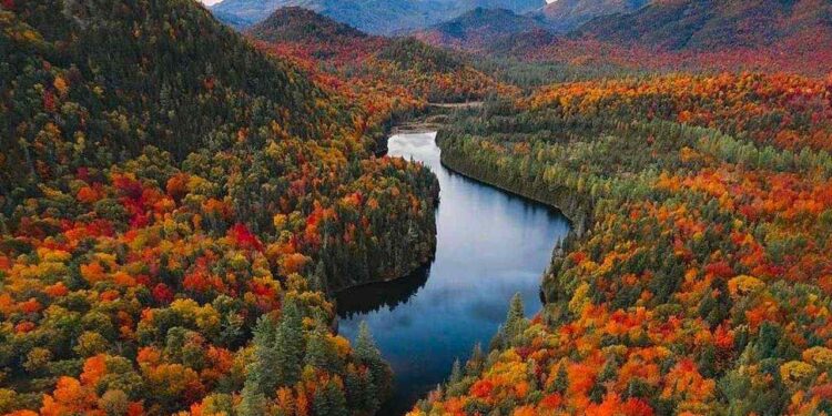 2025年美国最佳秋季赏叶之旅：热门路线、最佳赏叶季节和必游景点