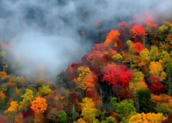 究極の2日間スモーキー山脈の秋の写真撮影旅行