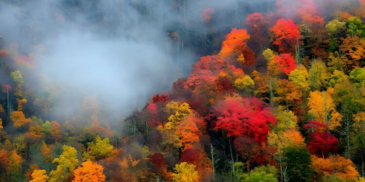 최고의 2일간 스모키 산맥 가을 사진 여행