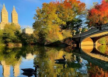 El mejor viaje por carretera de 7 días para admirar el follaje otoñal desde Nueva York
