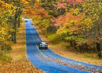 シェナンドー国立公園で過ごす、まばゆいばかりの秋の旅