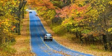 シェナンドー国立公園で過ごす、まばゆいばかりの秋の旅