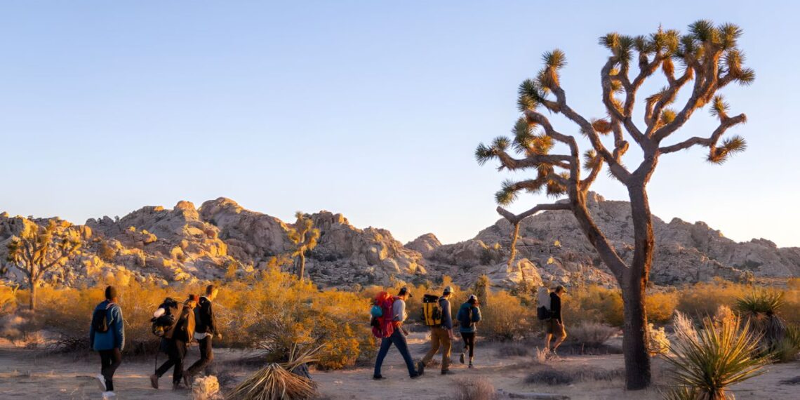 Joshua Tree Backpacking & Rock Climbing Camp